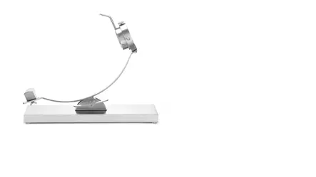 Kinkun leikkauspidike/ - teline - Muut tarjoiluastiat - H499948 - 2